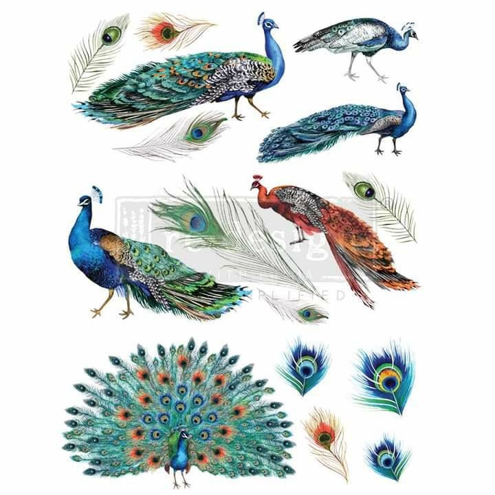 Rub on Furniture Transfer, Furniture Decal, Decor Transfer, Decor Decal Redesign with Prima, Peacock Dreams 24" x33"