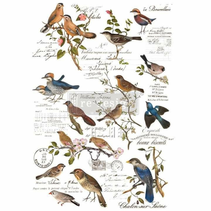 Rub on Furniture Transfer, Furniture Decal, Redesign with Prima, Postal Birds 24" x35"