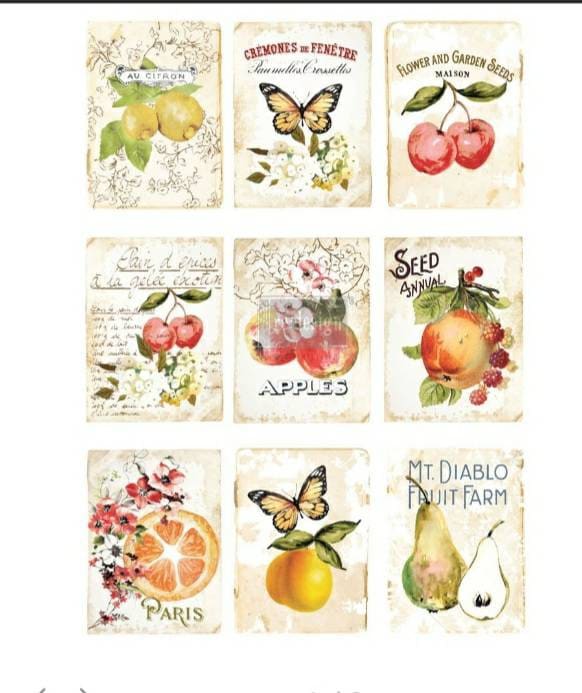 Rub on Furniture Transfer, Furniture Decal, Redesign with Prima, Sweet Apricot 22" x30"