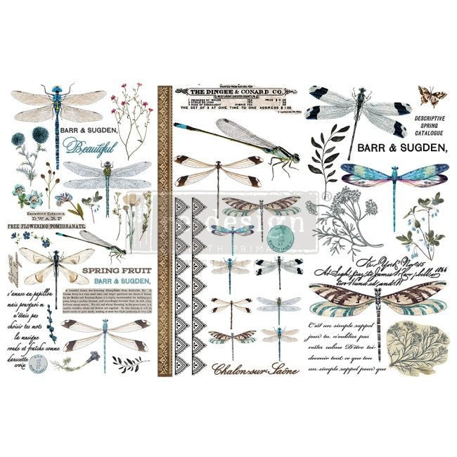 New -Spring Dragonfly - Redesign with Prima - Rub on Small Transfer for Furniture or Decor
