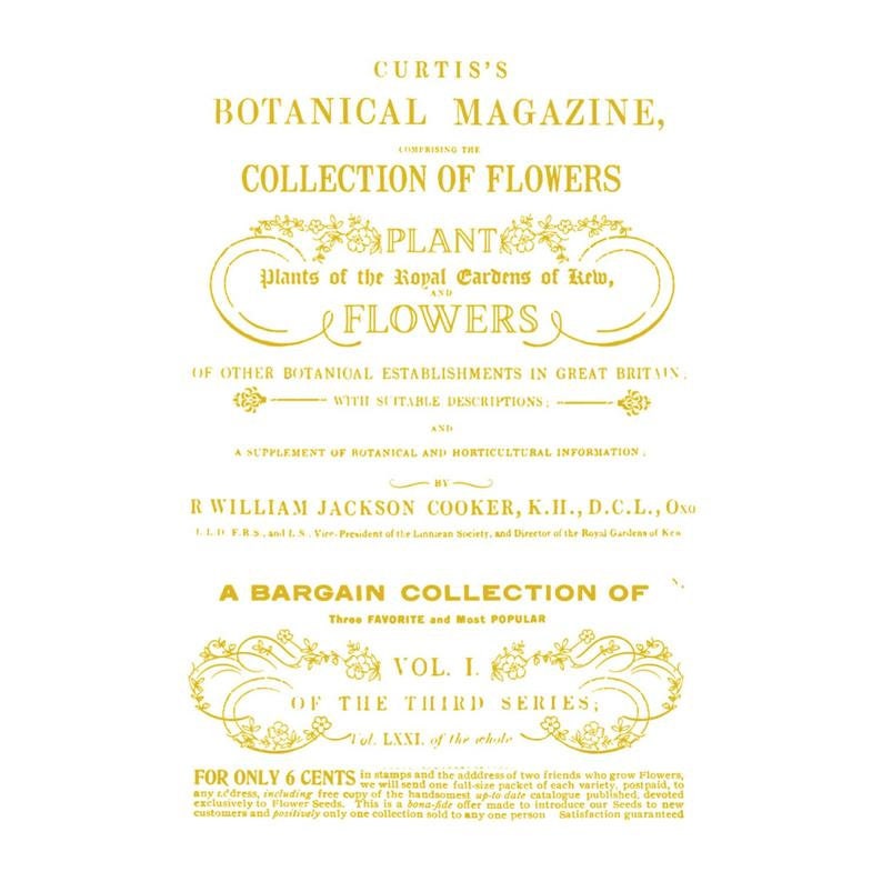 Rub on French Furniture Transfer, Furniture Decal, Redesign with Prima, Flower Collector 23.4" x 34"