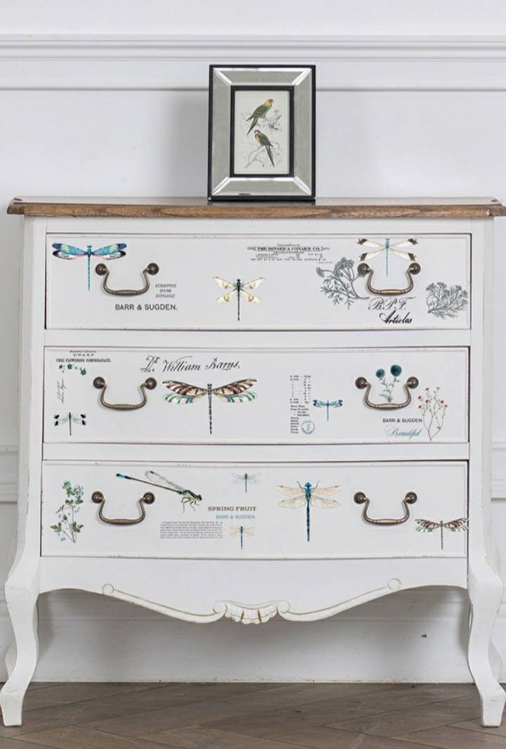 New -Spring Dragonfly - Redesign with Prima - Rub on Small Transfer for Furniture or Decor