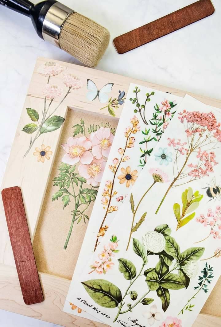 New - Botanical Paradise - Redesign with Prima - Rub on Furniture Small Transfer - Same day Shipping!