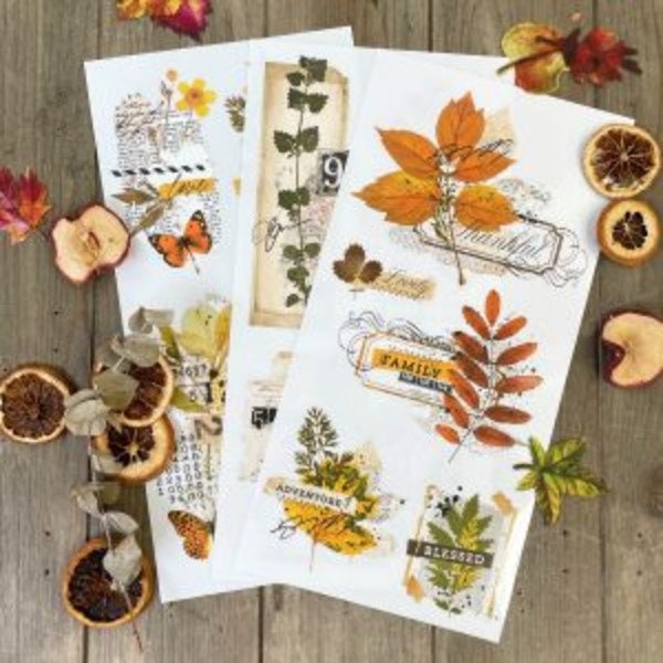 New! - FOLIAGE COLLECTOR - Redesign with Prima - Rub on Small Transfer for furniture or flower decal 18" x 12"