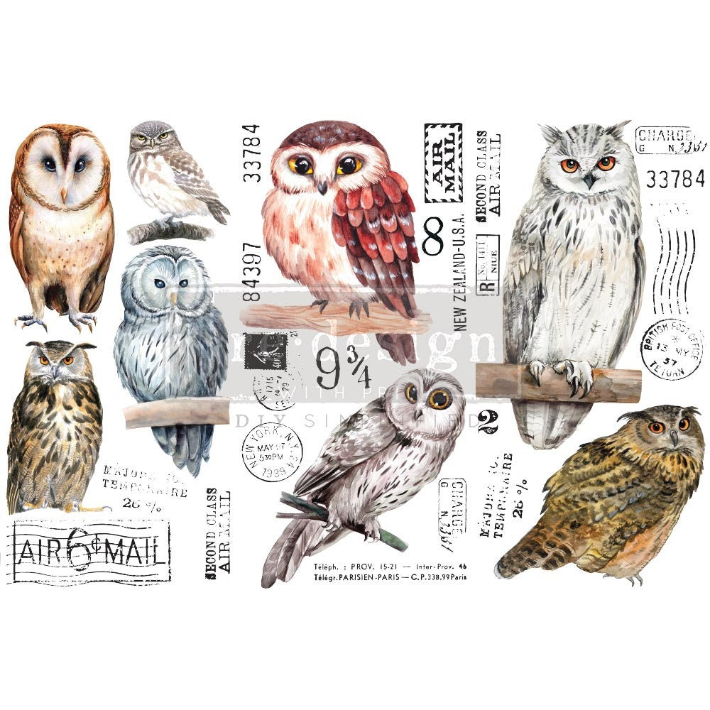 New! OWL - Redesign with Prima Rub on Furniture BIRD Small Transfer Decal - 18" x12"