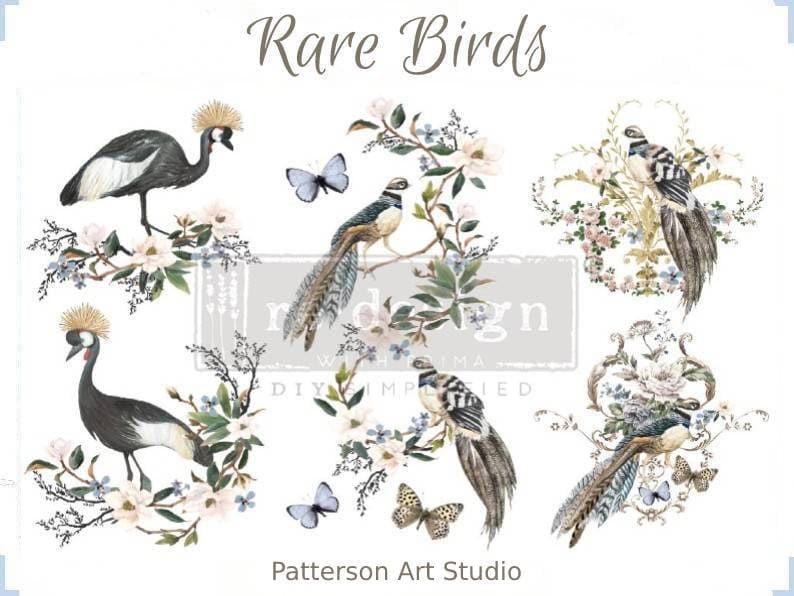 New! RARE BIRDS - Redesign with Prima Rub on Furniture BIRD Small Transfer Decal - 18" x12"