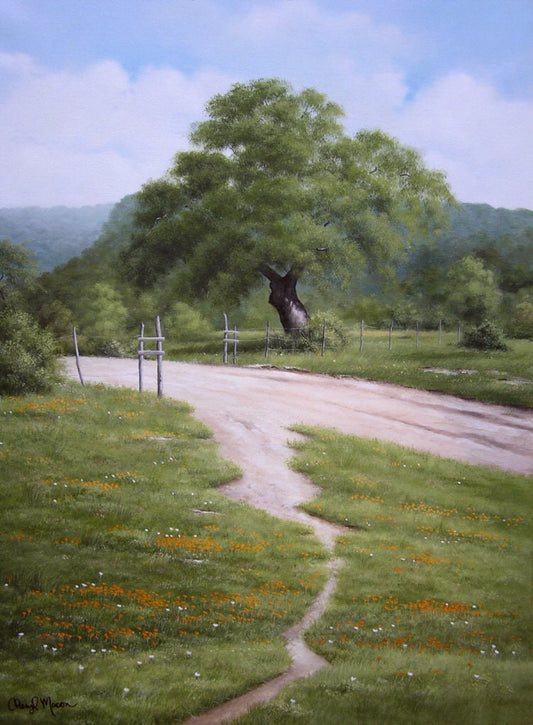 Landscape - Oil Painting on Canvas. Texas Hill Country 18"×24" Mason Patterson