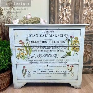 New! Rub on French Furniture Transfer,  Furniture Decal, Redesign with Prima, Botanical Magazine 24" x 35"