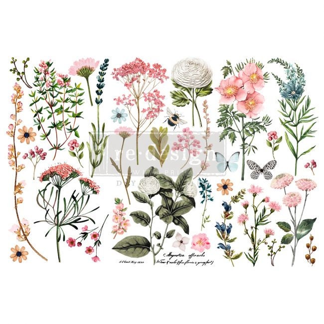 New - Botanical Paradise -  Redesign with Prima - Rub on  Furniture Small Transfer - Same day Shipping!