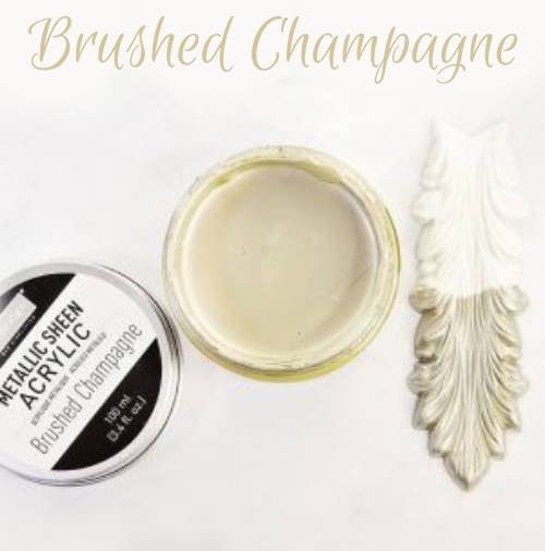 New! Metallic Sheen Acrylic Paint - BRUSHED CHAMPAGNE- Re-Design with Prima - for Furniture, Decor, Art Stenciling  Silk Screening and More