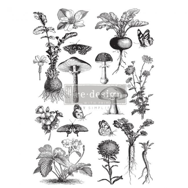 Rub on Mushroom Furniture Transfer,  Furniture Decal, Redesign with Prima, Fungi Forest 24" x 35.3"