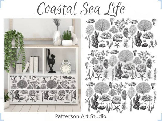 Rub on Furniture Transfer, Furniture Decal, Redesign with Prima, Coastal Sea Life 24" x32"