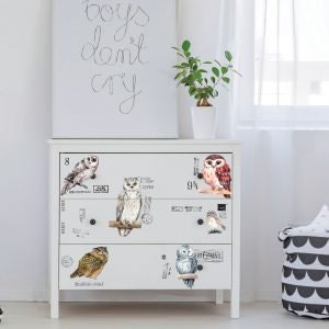 New! OWL - Redesign with Prima Rub on Furniture BIRD Small Transfer Decal -  18" x12"