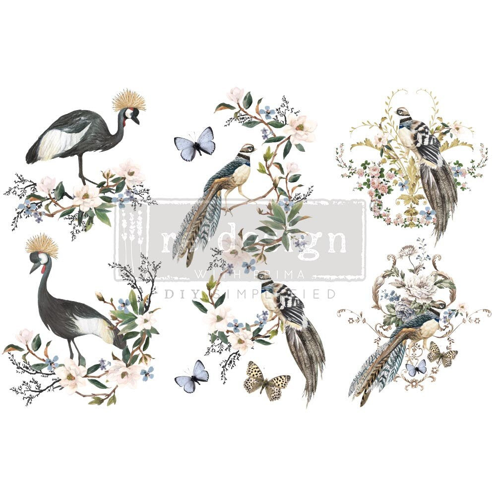 New! RARE BIRDS - Redesign with Prima Rub on Furniture BIRD Small Transfer Decal -  18" x12"