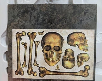 Redesign with Prima - Finnabair Imaginariam - Silicone Mould - SKULL & BONES - 5" X8"