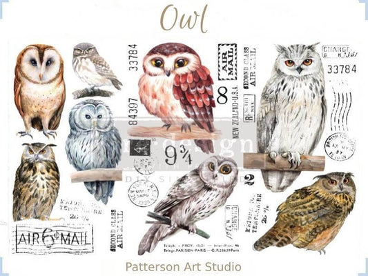 New! OWL - Redesign with Prima Rub on Furniture BIRD Small Transfer Decal - 18" x12"