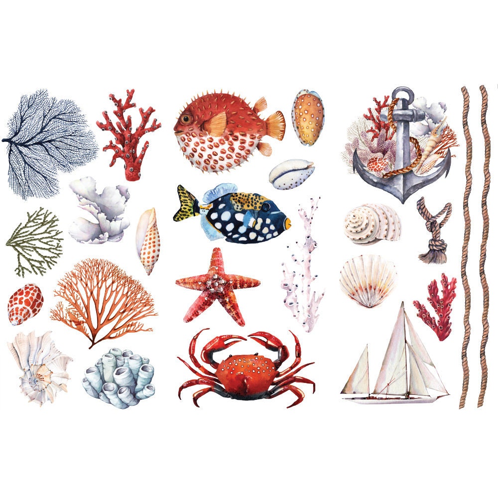 New! - AMAZING SEA LIFE - Redesign with Prima - Rub on Small Transfer for Furniture Beach decal "12" x 18"