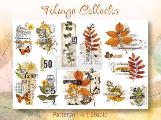 New! - FOLIAGE COLLECTOR - Redesign with Prima - Rub on Small Transfer for furniture or flower decal  18" x 12"